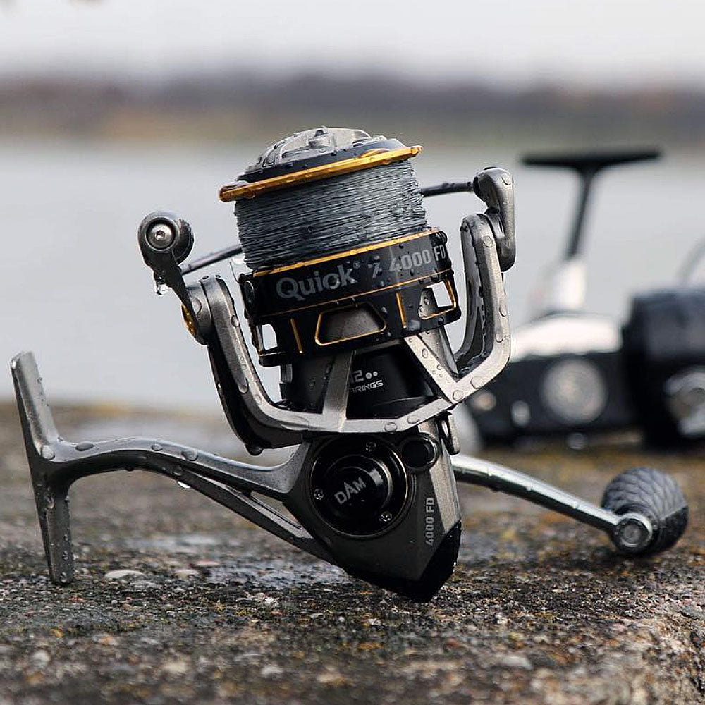 DAM Reels